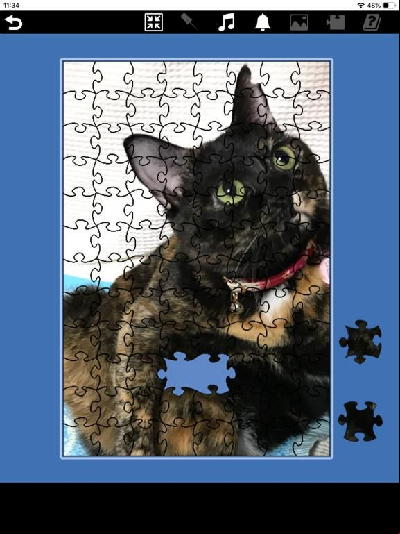 Jigsaw game screenshot